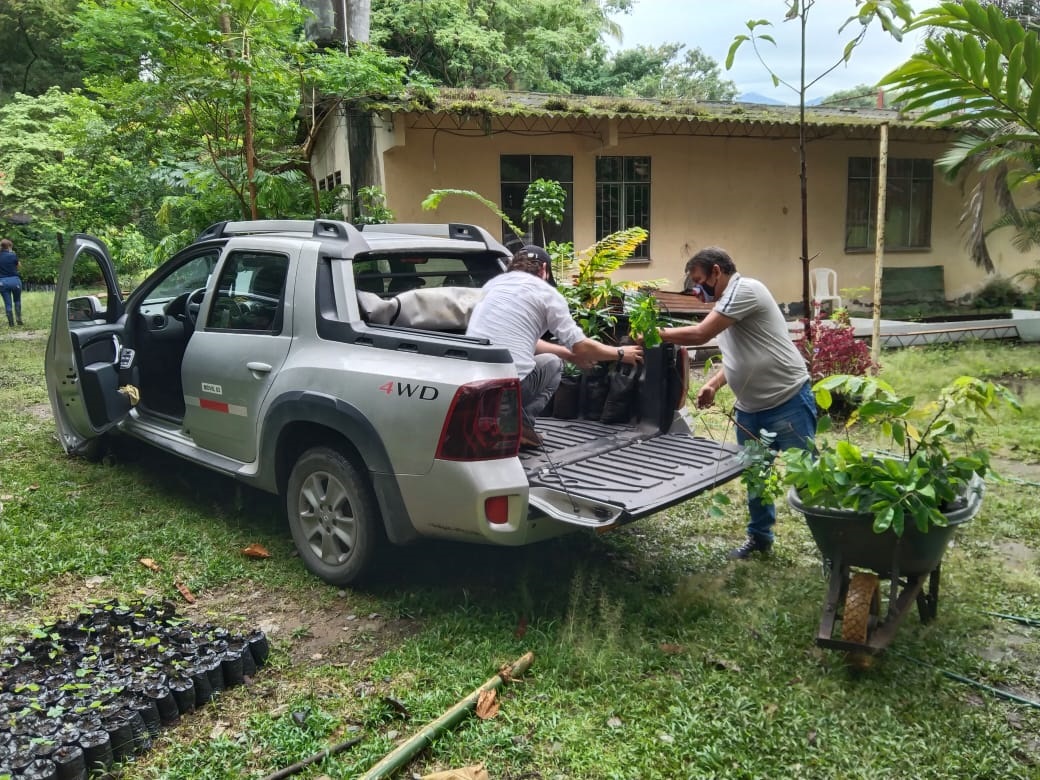 Aeronautica Civil donacion arboles Villavicencio (1)