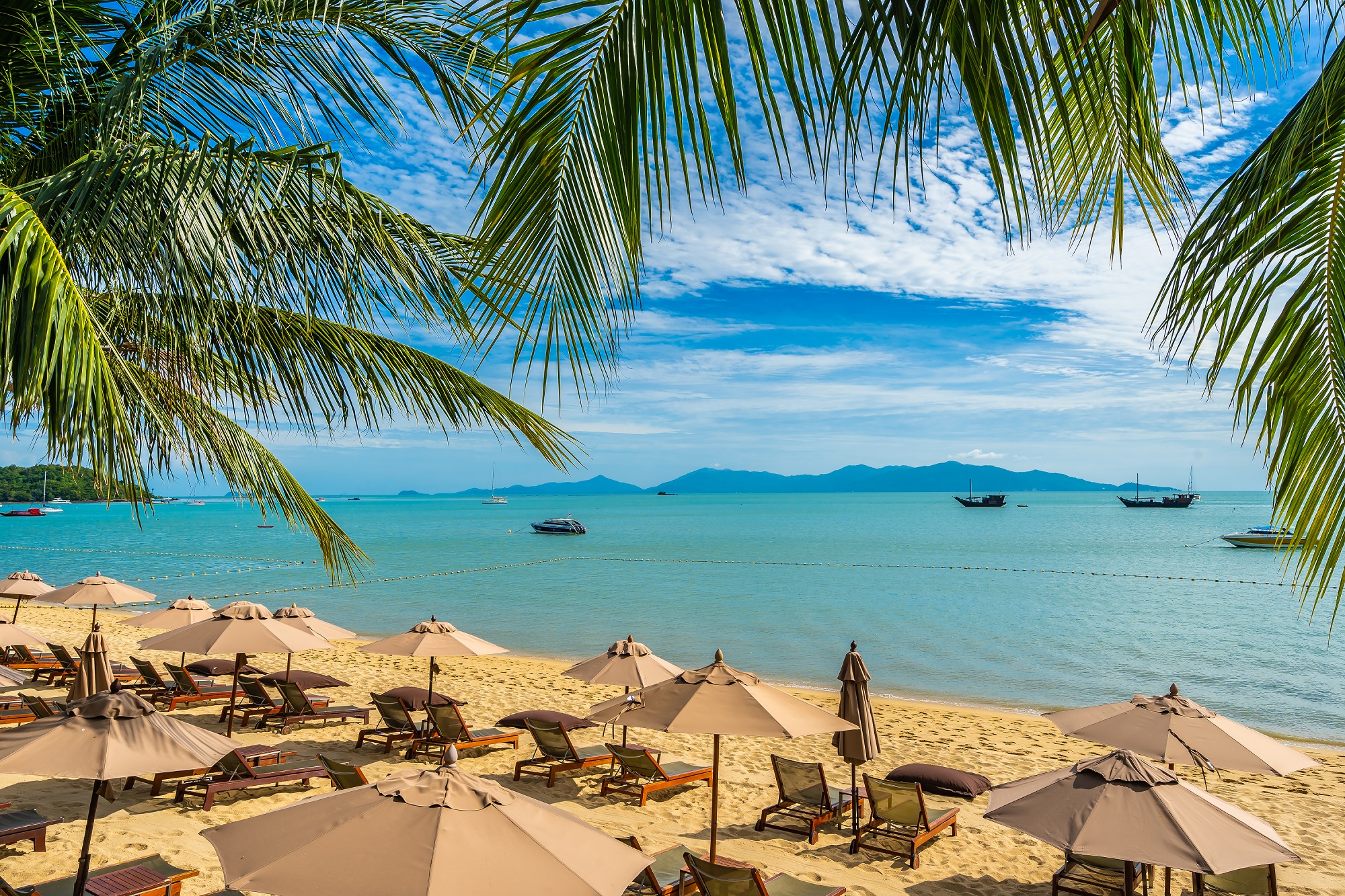 Beautiful tropical beach sea and ocean with coconut palm tree  a