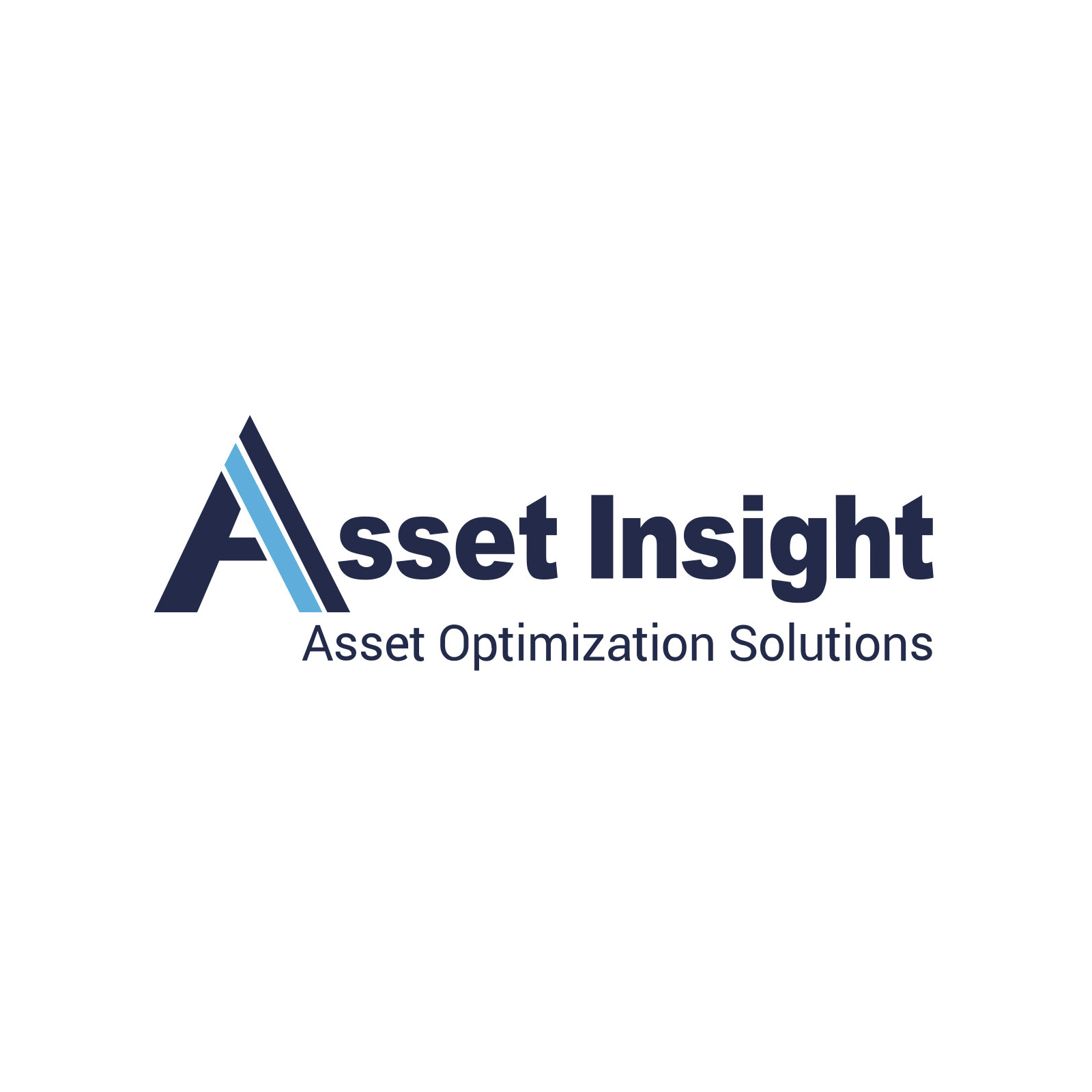 Logo Asset Insight