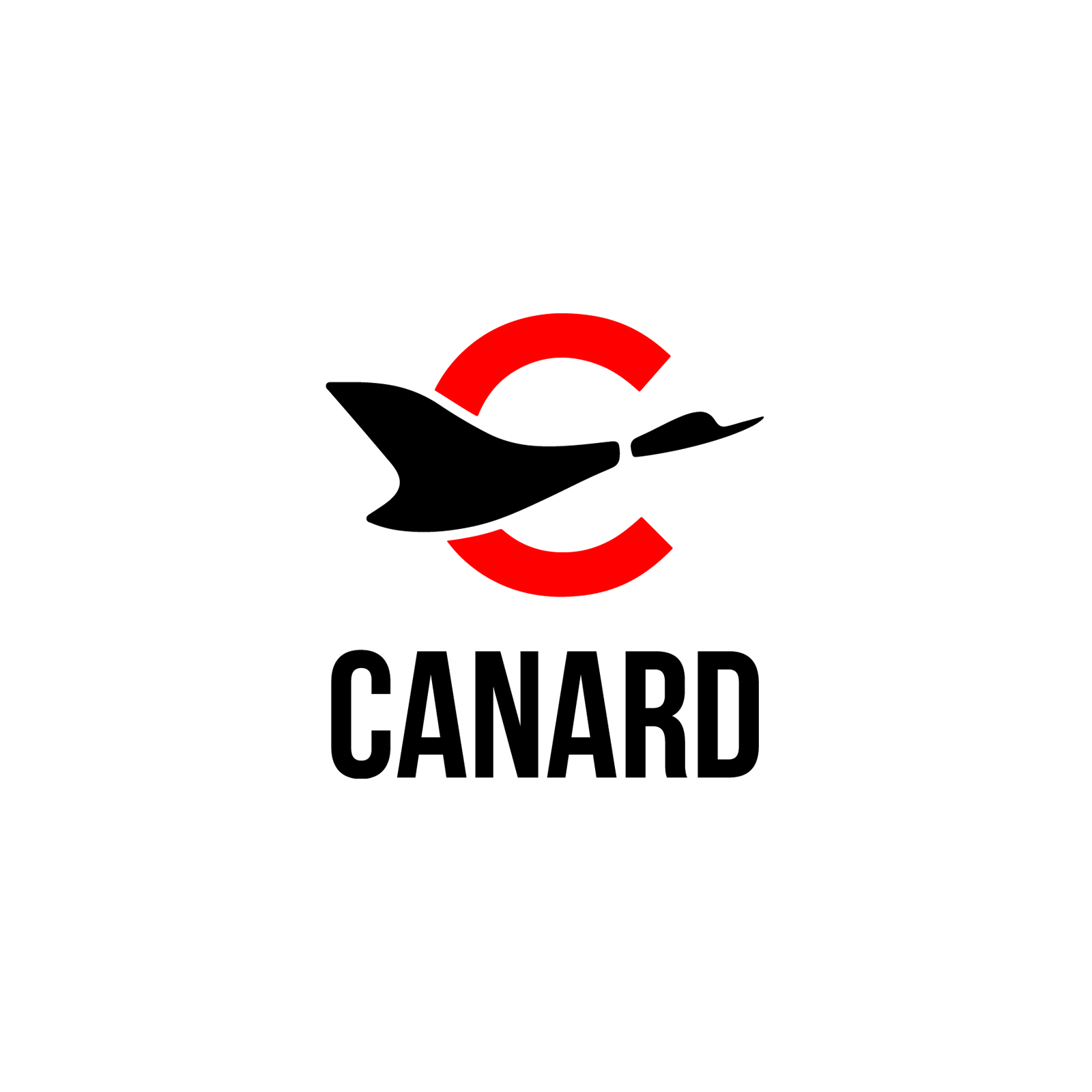 Logo Canard Drones