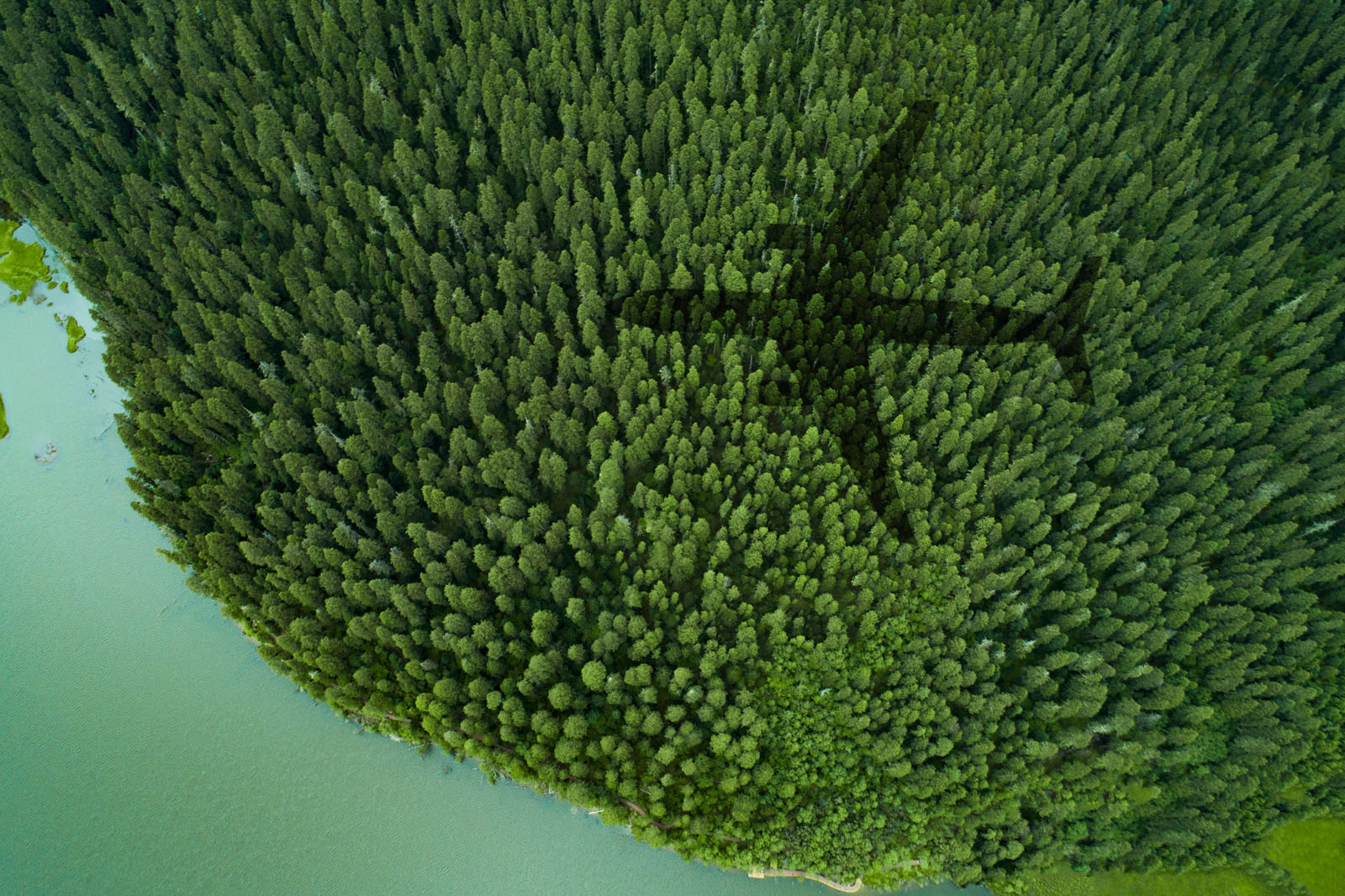 Shadow of airplane over forest  and a lake