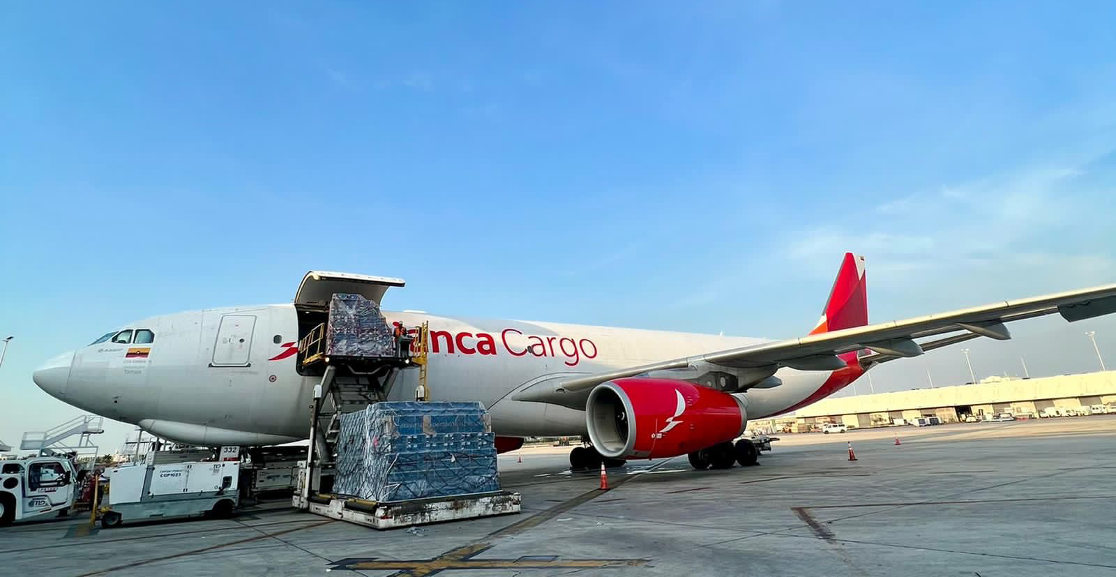 Avianca Dia de las Madres – copia
