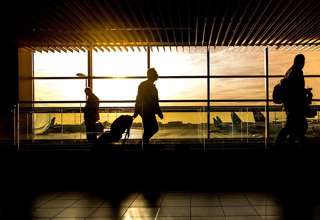 Zebra airport-gd4f5057b2_640