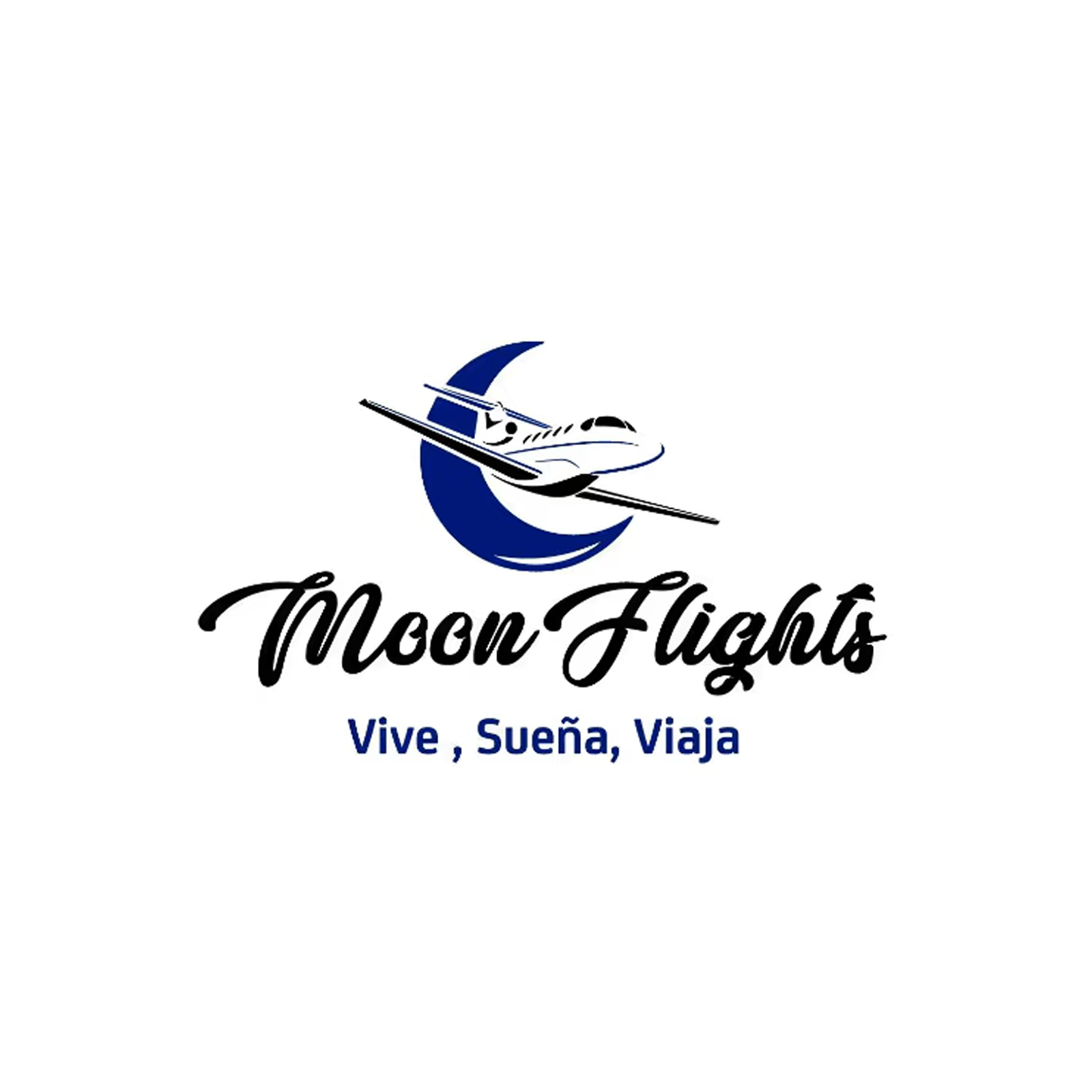 Logo Moon Flights