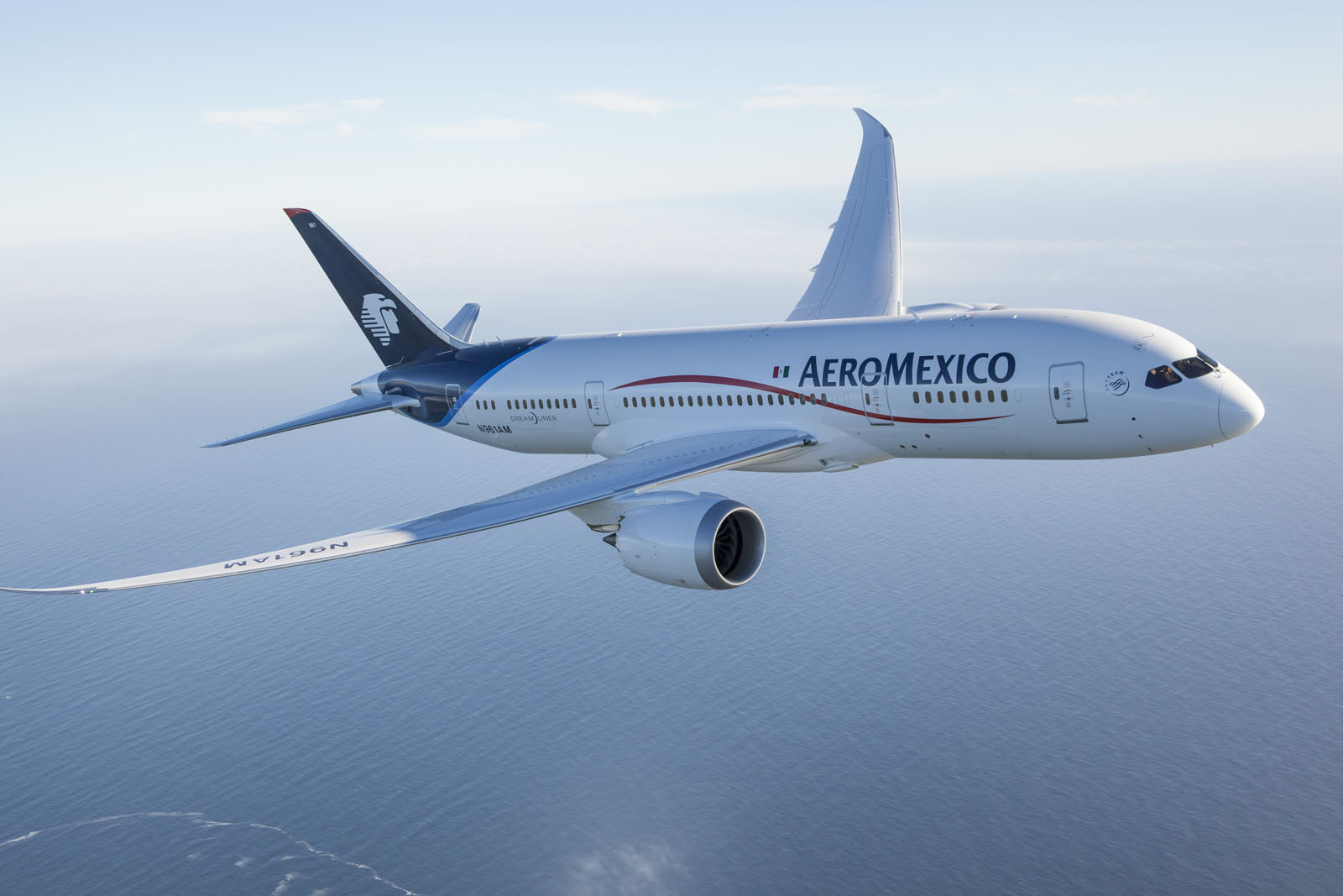 Aeromexico 787 LN 115 Air to Air