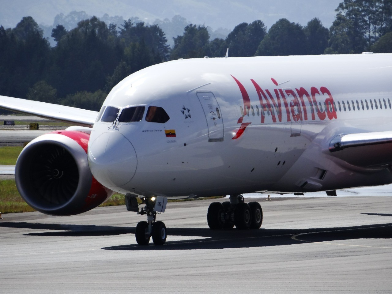 Avianca Civitatis 2