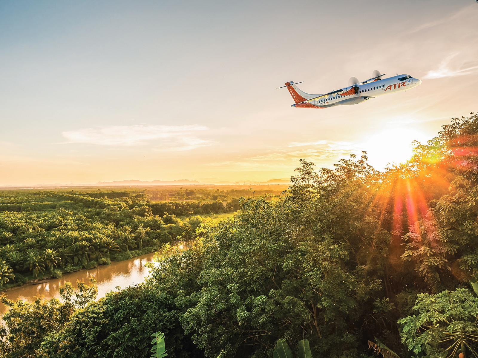 Beautiful aerial view with green forest landscape at twilight