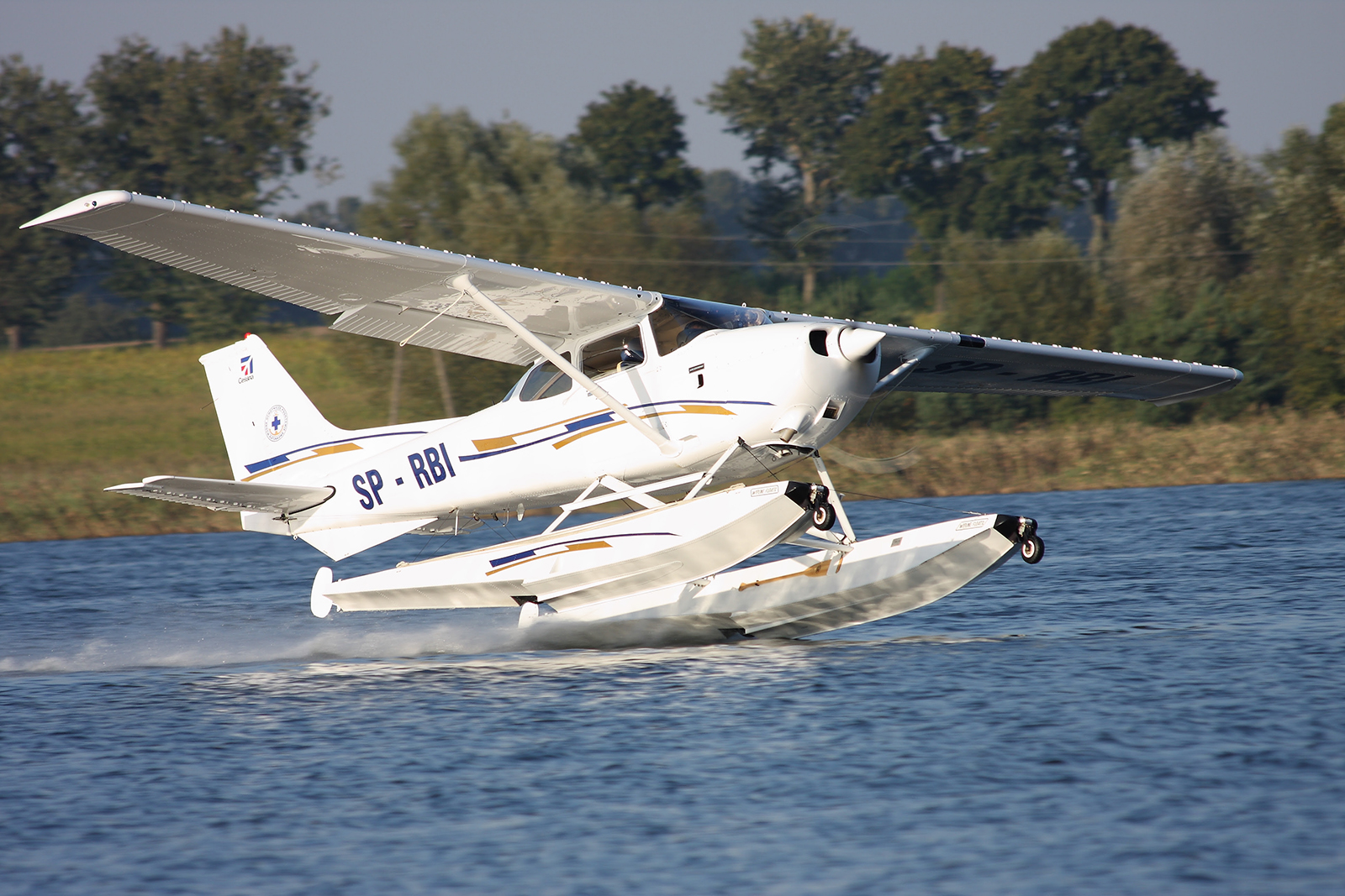 ALSIM Biernat SJ 1