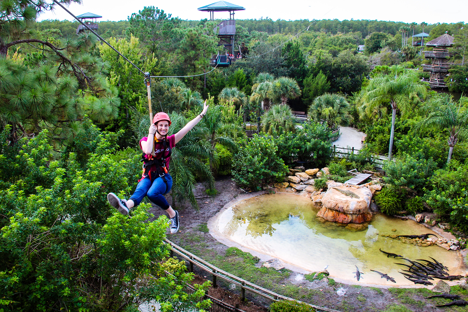 Visit Orlando Gatorland