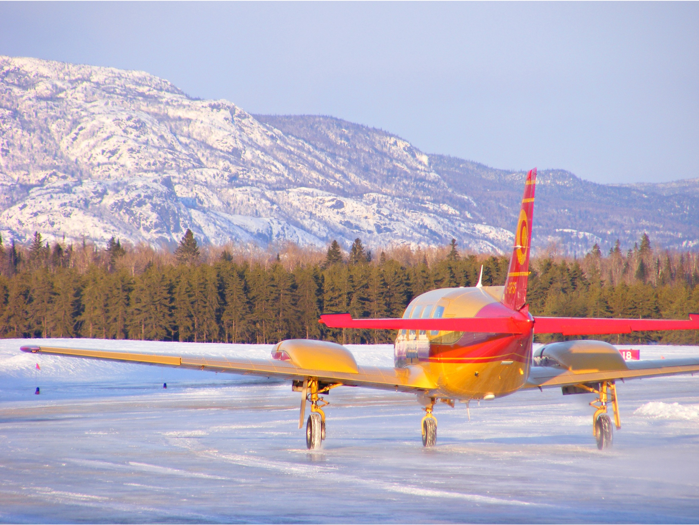 ALSIM Airliner