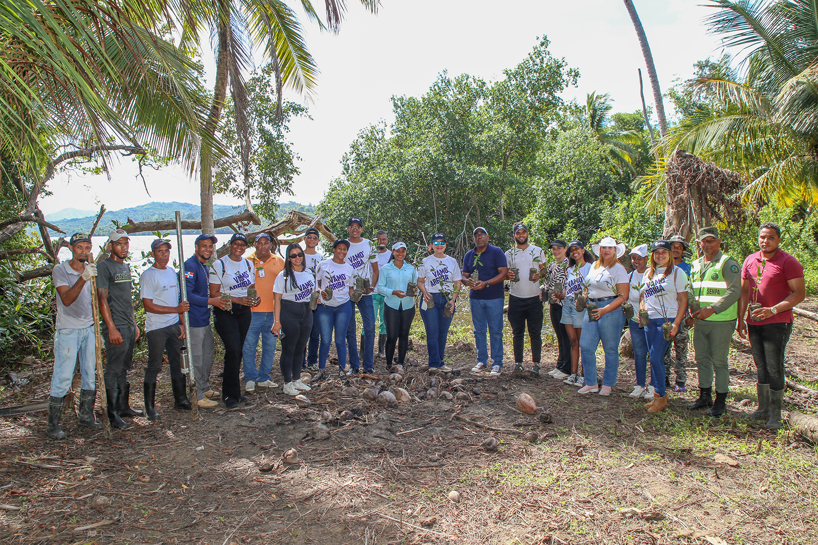Arajet Reforestacion