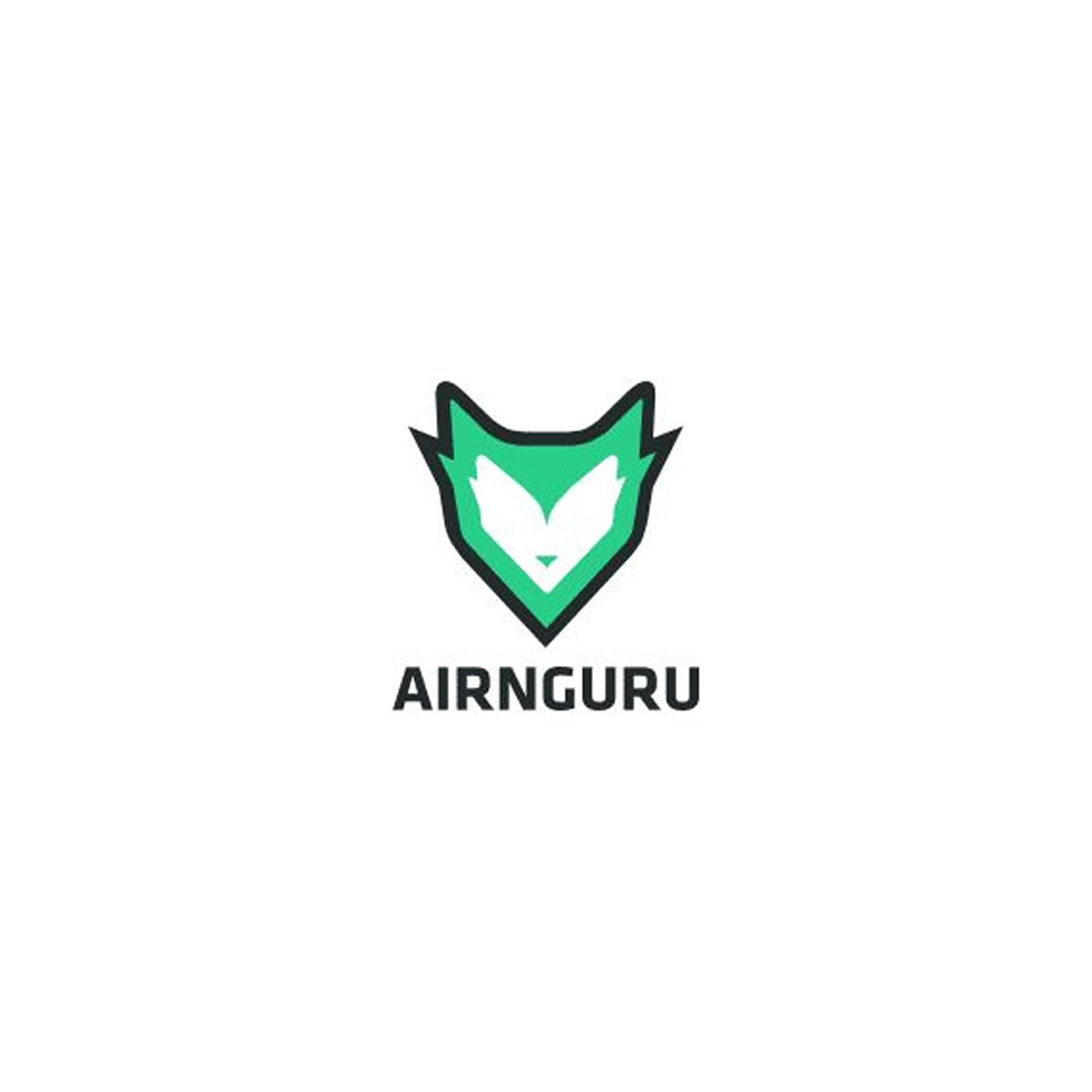 Logo Airnguru