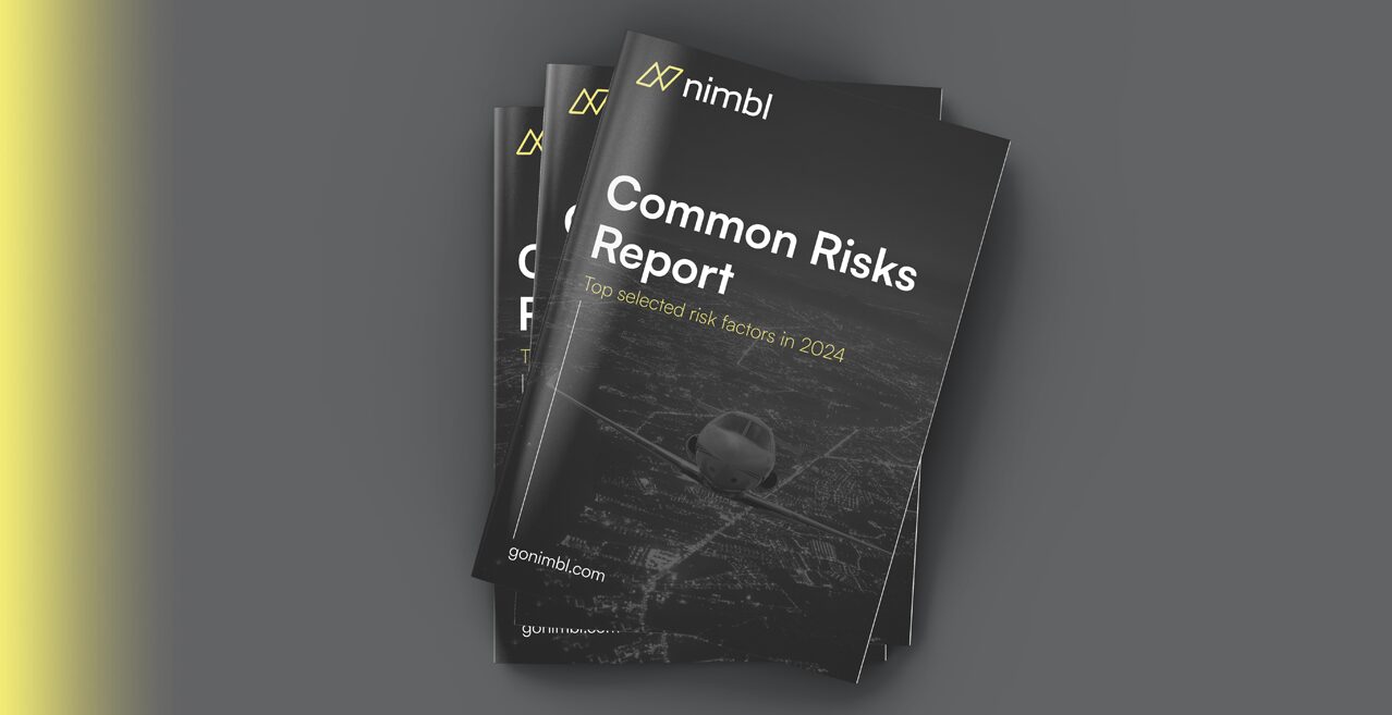 common-risks-report-web-mockup
