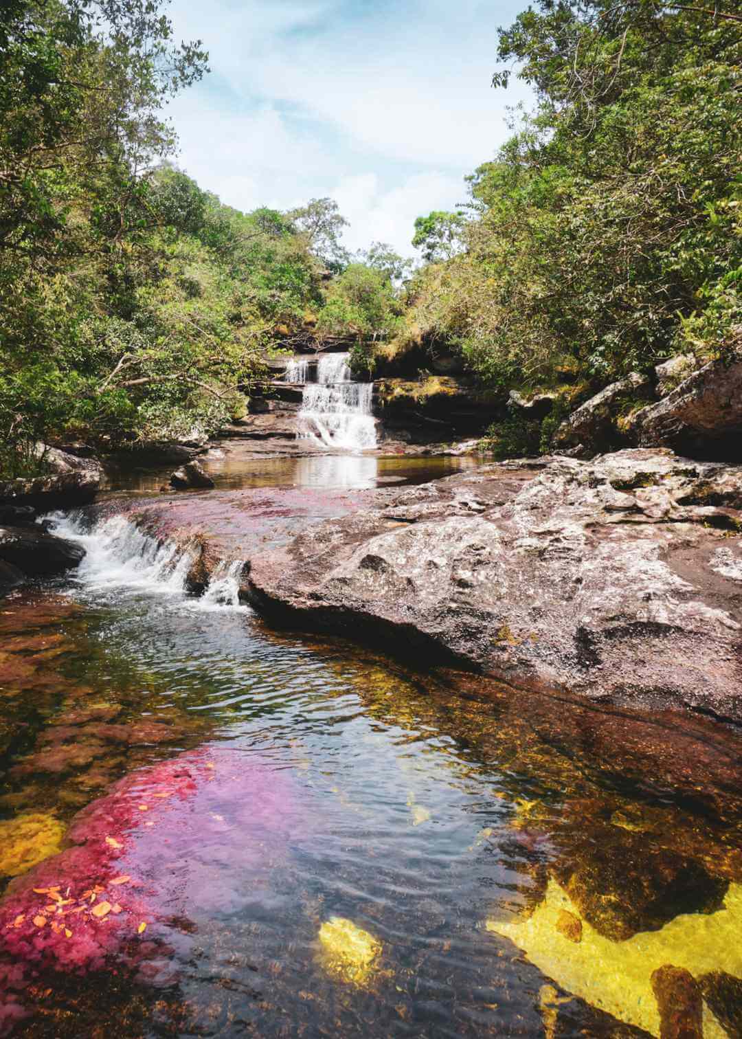Clic Air Cano Cristales Travelgrafia
