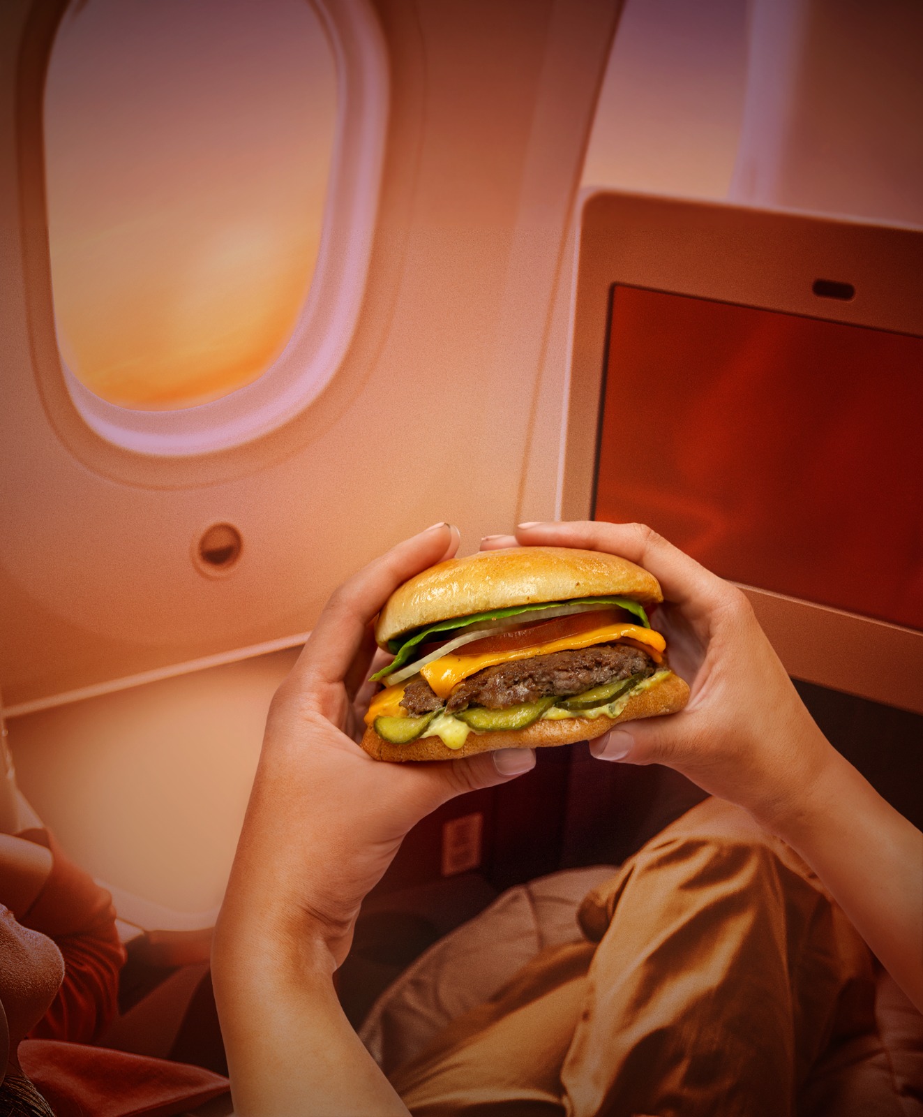 Avianca Insignia (Home Burgers) 2