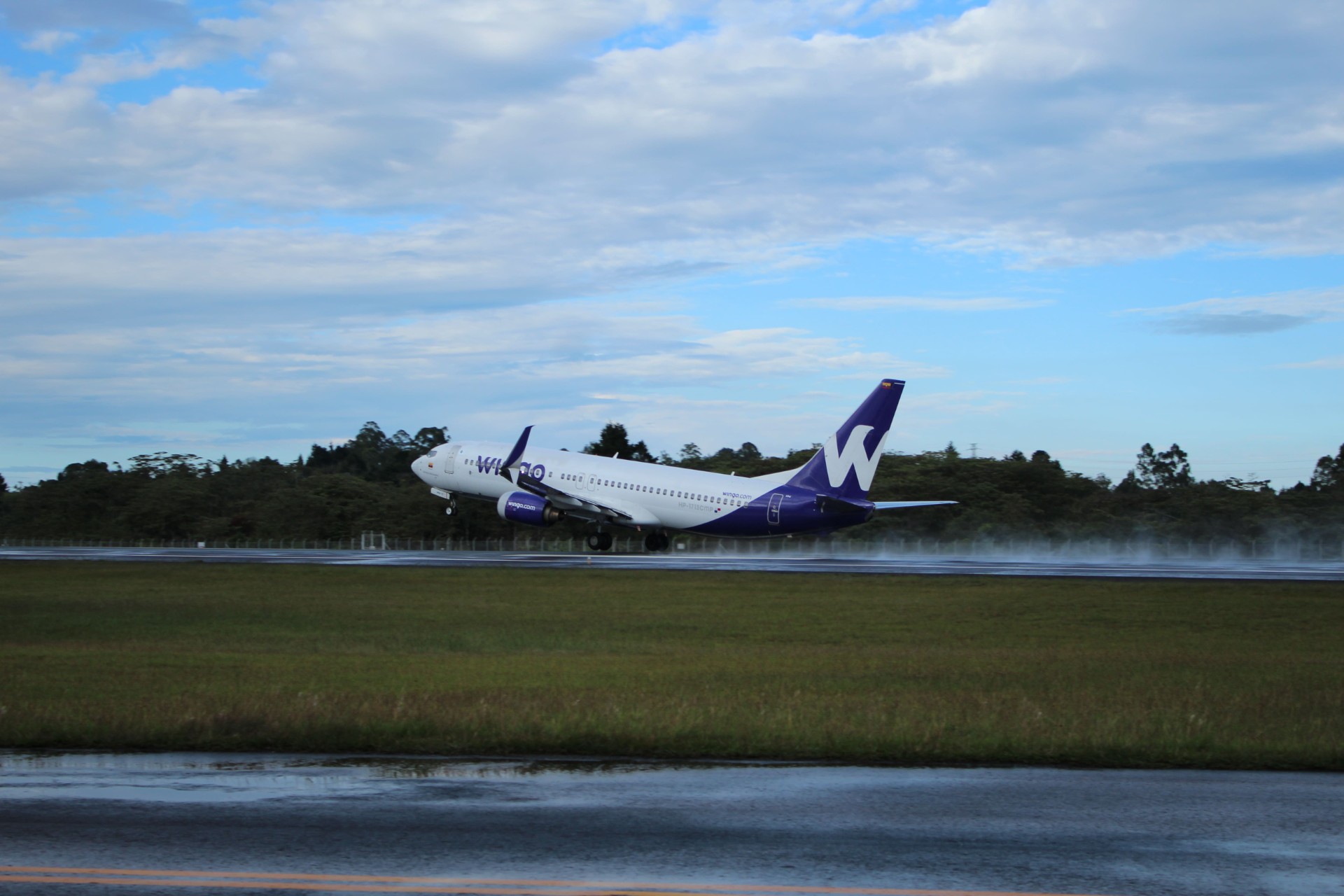 Flota Wingo 3