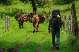 BookingCom – Turismo Sostenible Colombia