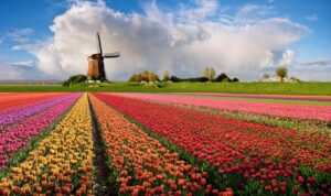 KLM – Primavera Paises Bajos 05-2026 1