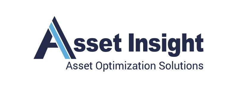 Logo Asset Insight